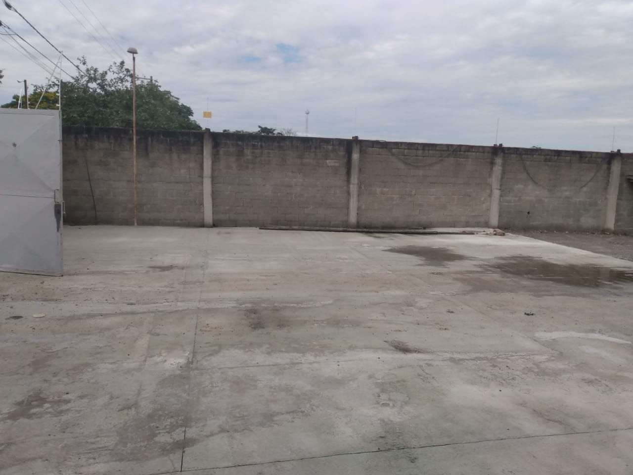 Depósito-Galpão - Foto 18