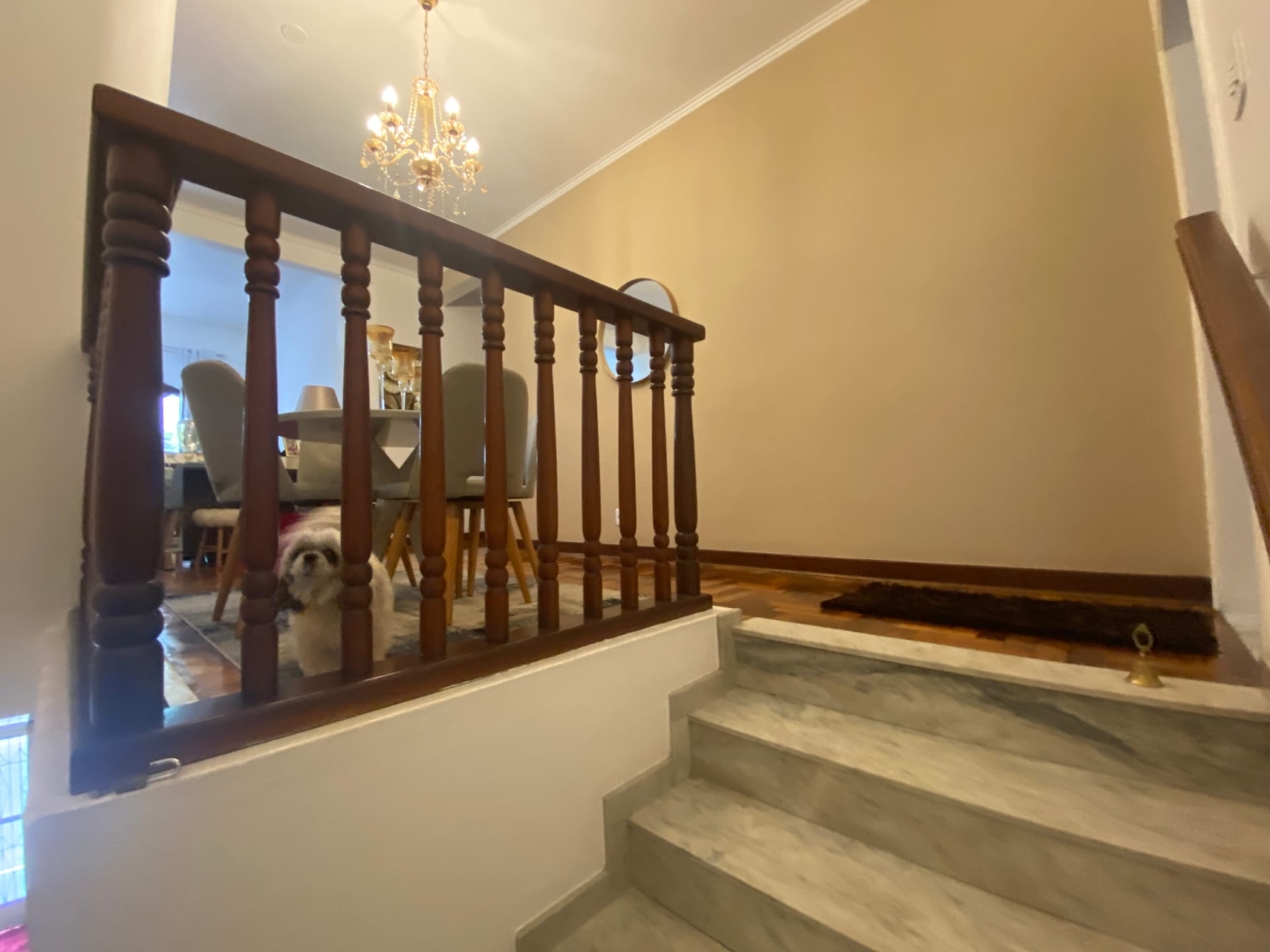 Casa, 4 quartos, 136 m² - Foto 4