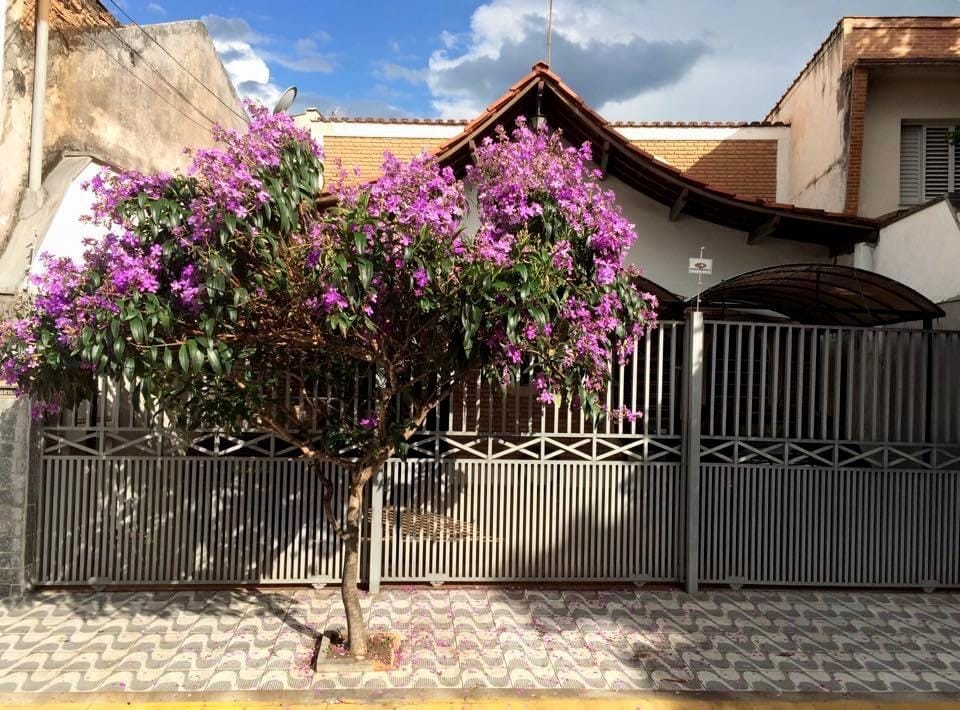 Casa, 6 quartos, 400 m² - Foto 7