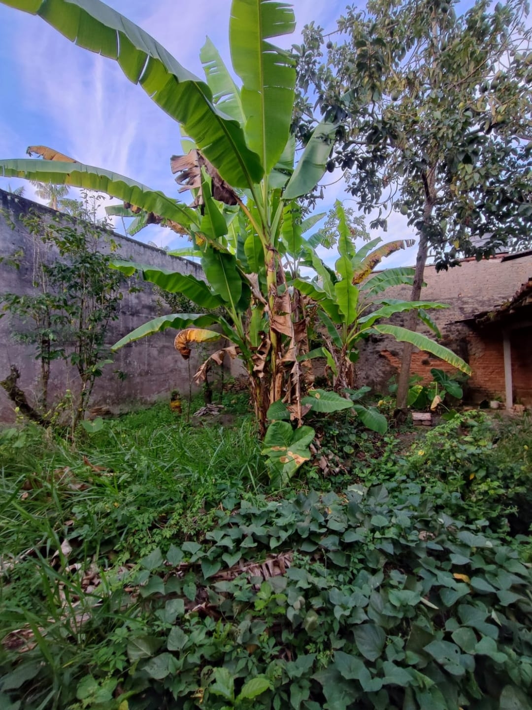 Prédio Inteiro, 200 m² - Foto 17