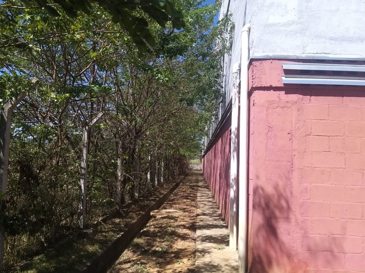 Depósito-Galpão, 2200 m² - Foto 24