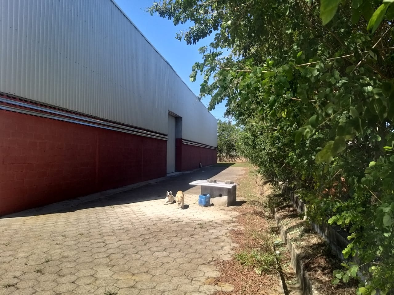 Depósito-Galpão, 2200 m² - Foto 25