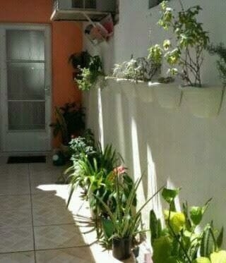 Casa, 6 quartos, 230 m² - Foto 5