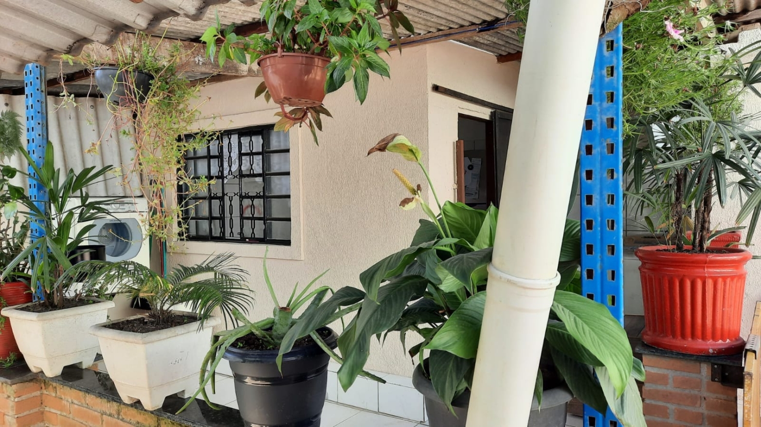 Loja-Salão, 300 m² - Foto 3