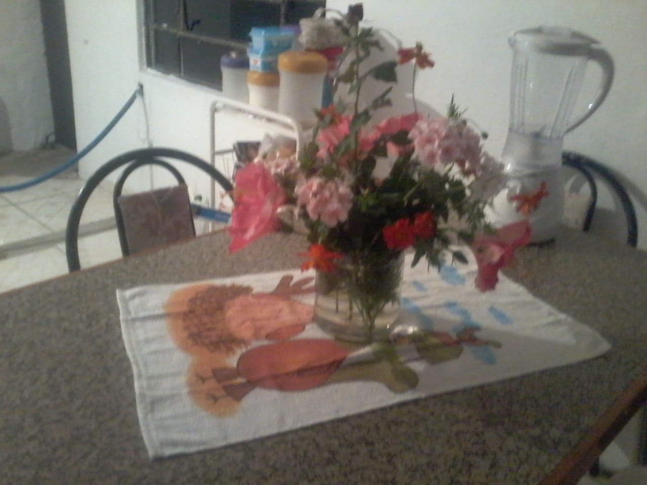 Casa, 1 quarto, 150 m² - Foto 4