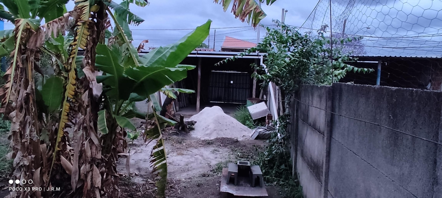 Depósito-Galpão - Foto 6