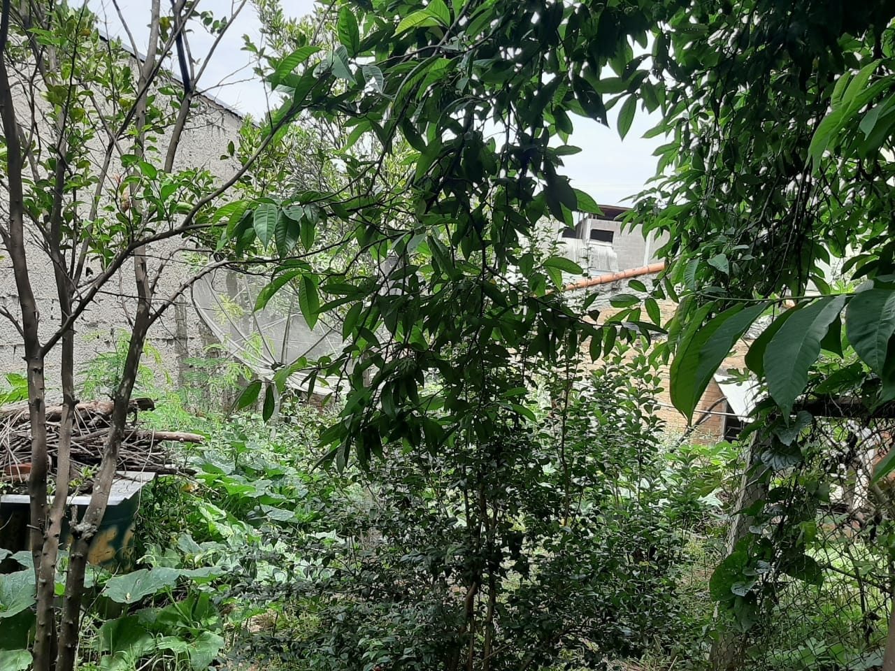 Casa, 3 quartos - Foto 8