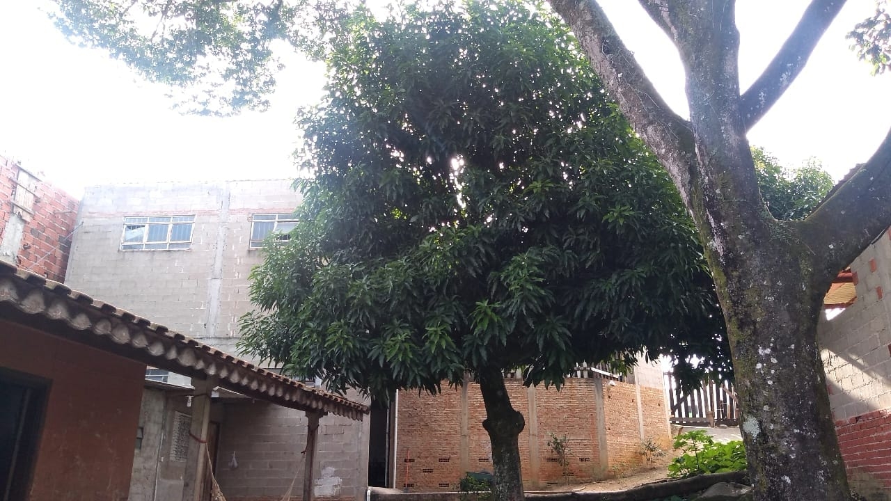 Prédio Inteiro - Foto 1