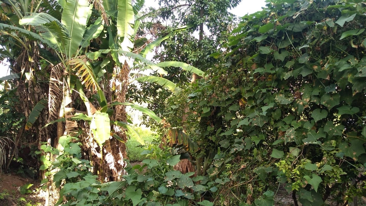 Prédio Inteiro - Foto 13