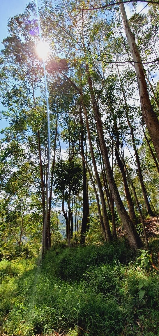 Prédio Inteiro, 380 m² - Foto 31