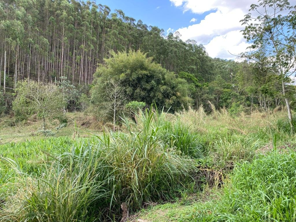 Casa, 115 m² - Foto 6