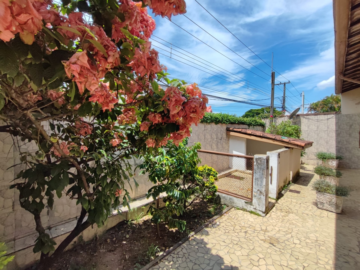 Casa à venda e aluguel com 4 quartos, 400m² - Foto 30