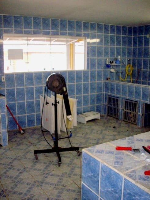 Prédio Inteiro, 450 m² - Foto 5