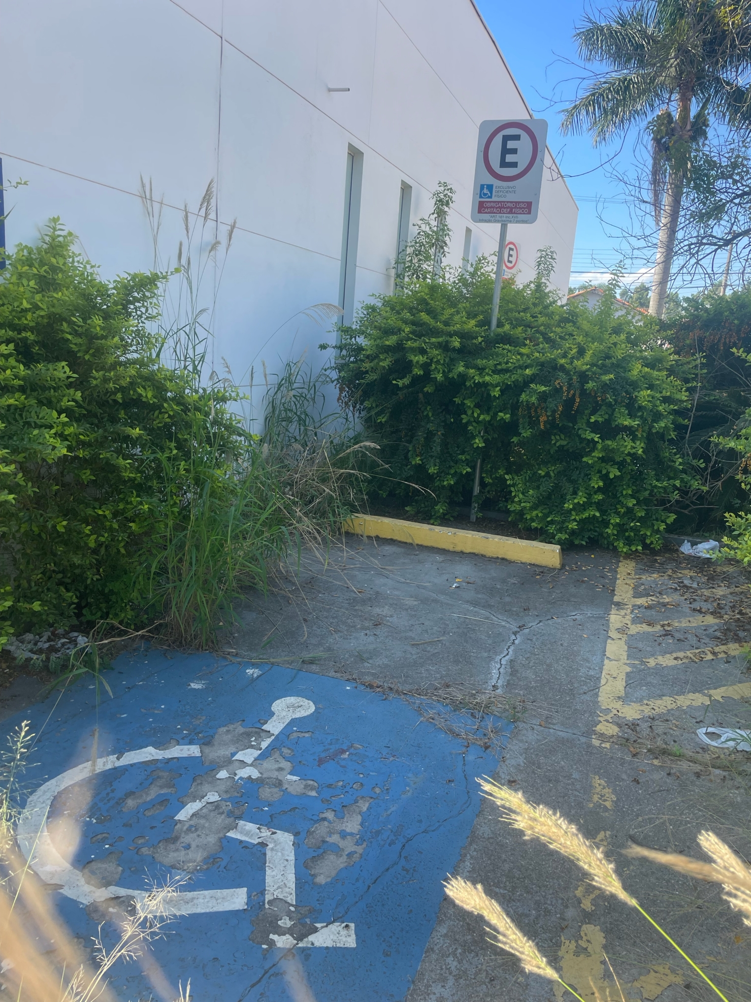 Loja-Salão, 300 m² - Foto 4