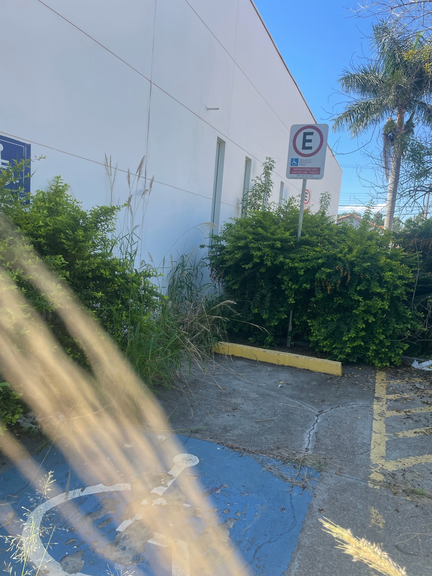 Loja-Salão, 300 m² - Foto 5