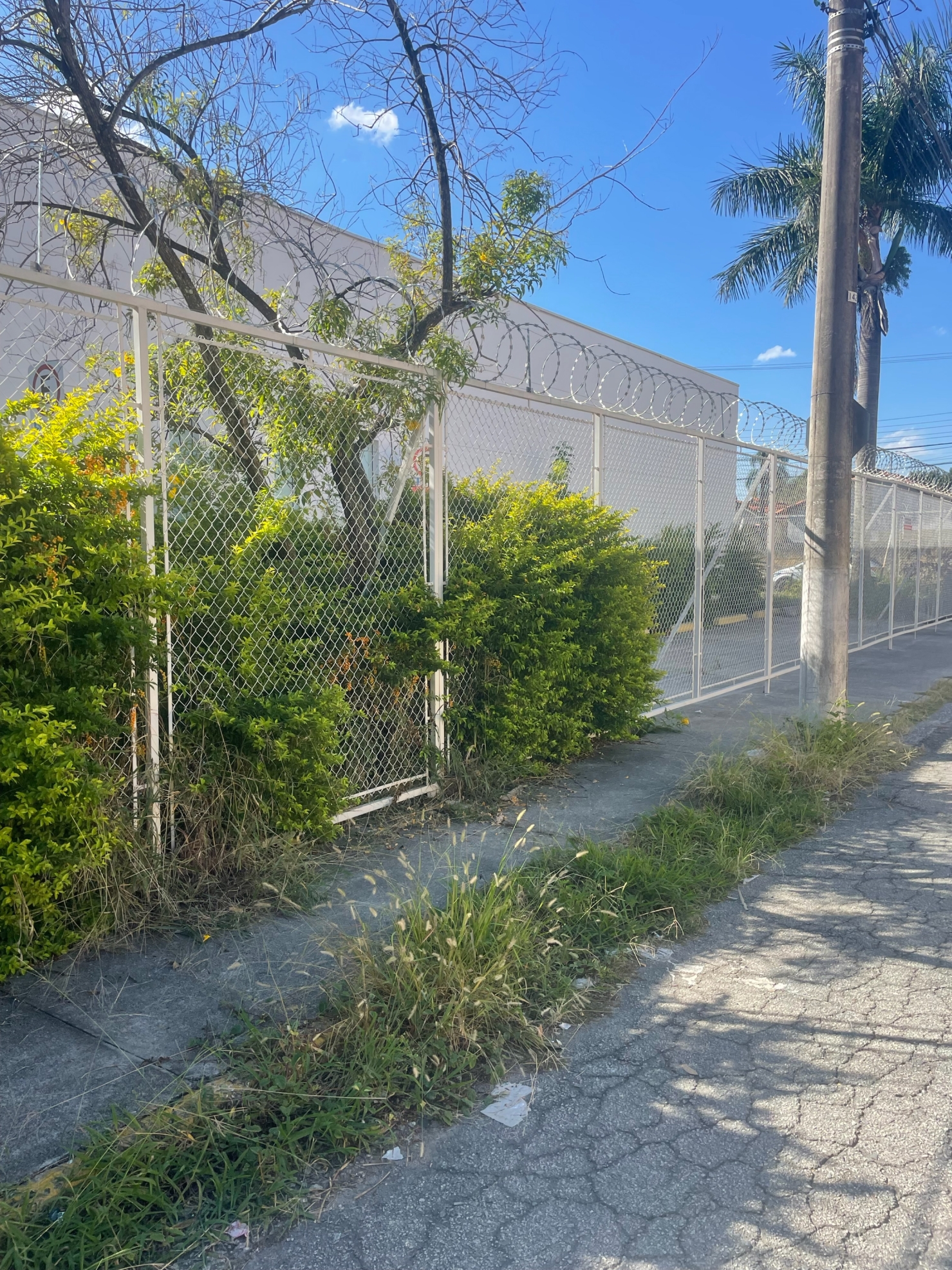 Loja-Salão, 300 m² - Foto 6