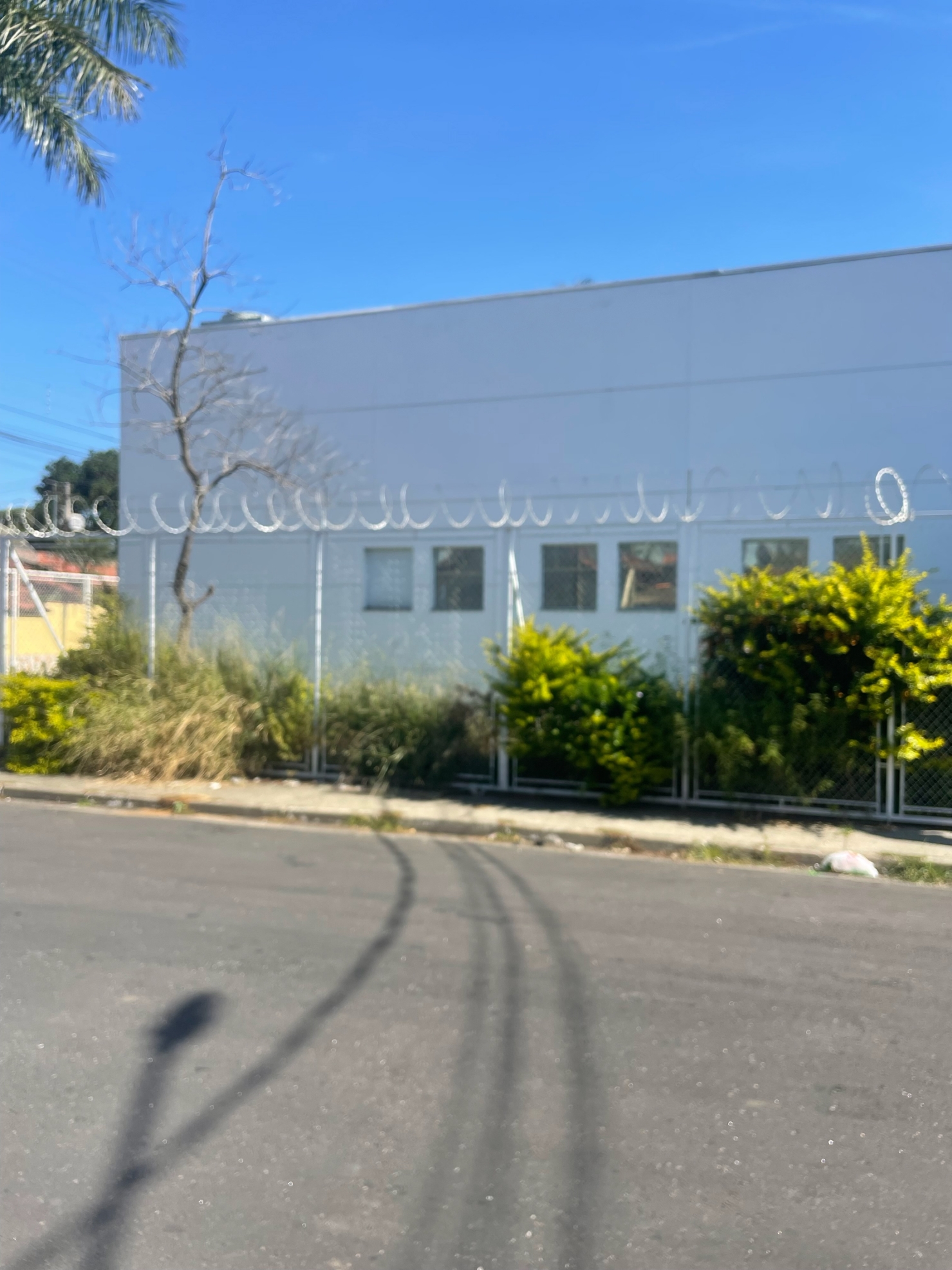 Loja-Salão, 300 m² - Foto 7