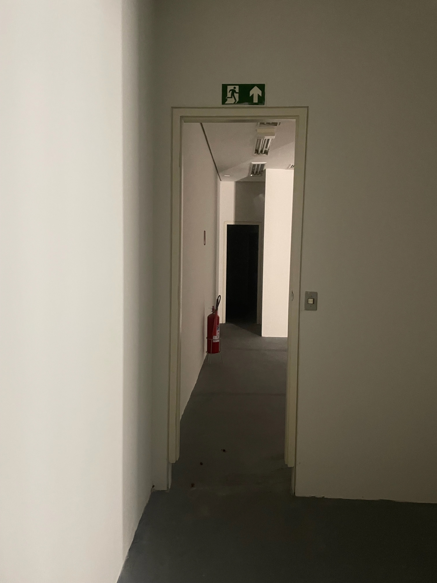 Loja-Salão, 300 m² - Foto 12