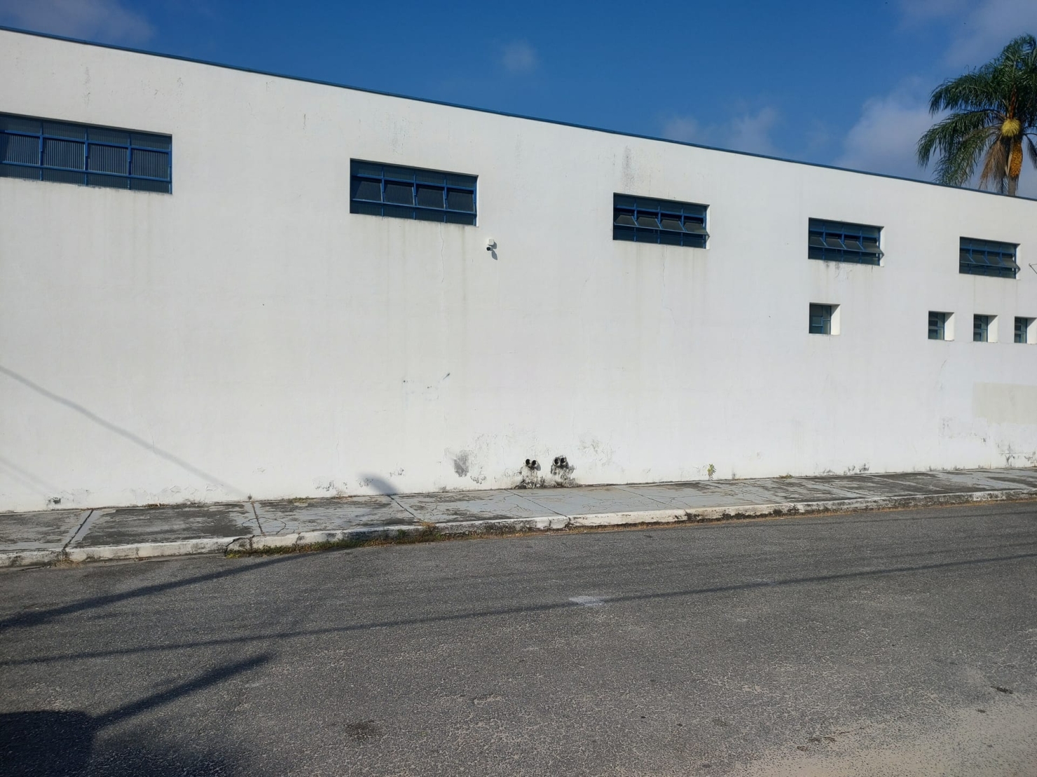 Depósito-Galpão, 570 m² - Foto 3