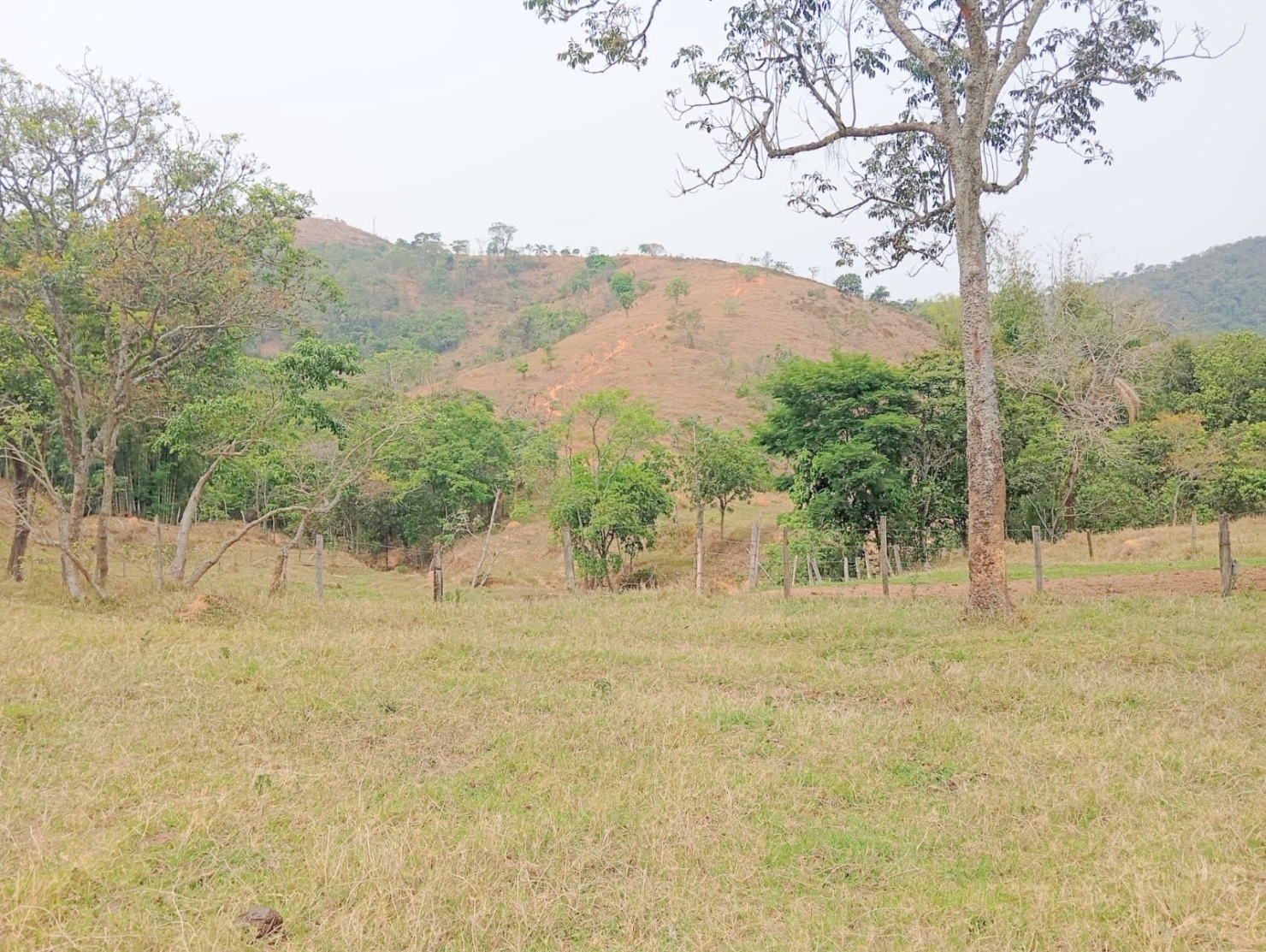 Fazenda-Sítio-Chácara, 135520 hectares - Foto 1
