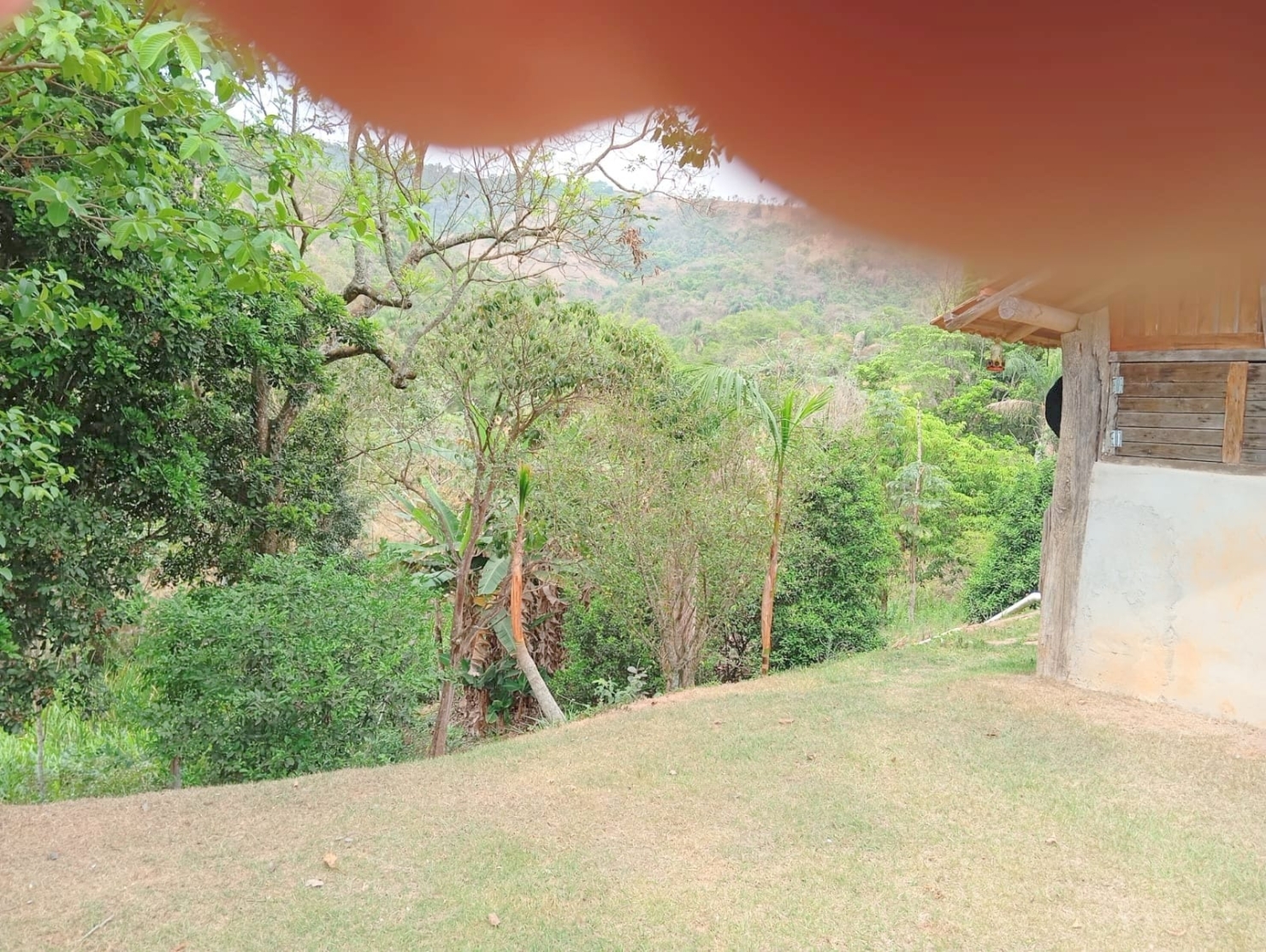 Fazenda-Sítio-Chácara, 135520 hectares - Foto 3