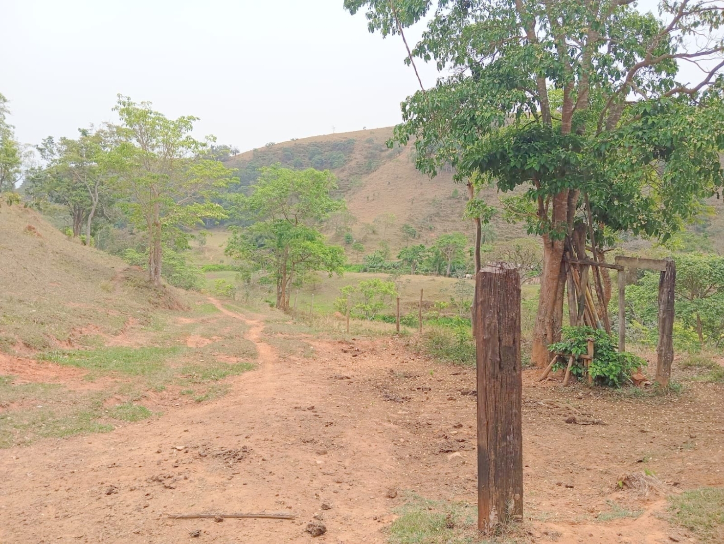 Fazenda-Sítio-Chácara, 135520 hectares - Foto 4
