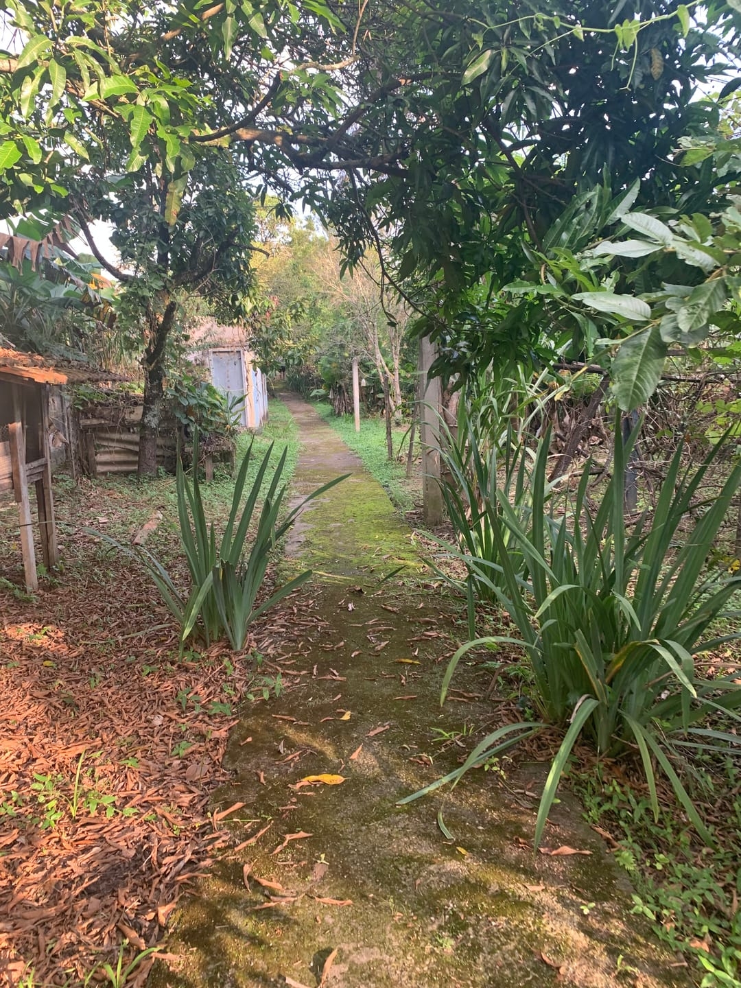 Sala-Conjunto, 70 m² - Foto 6