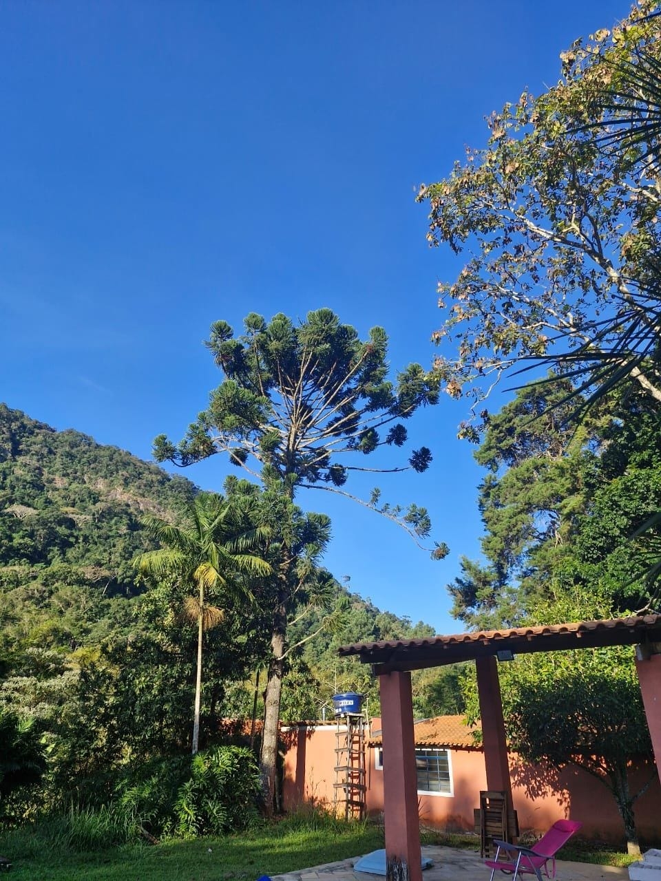 Chácara, 4 quartos, 5 hectares - Foto 11