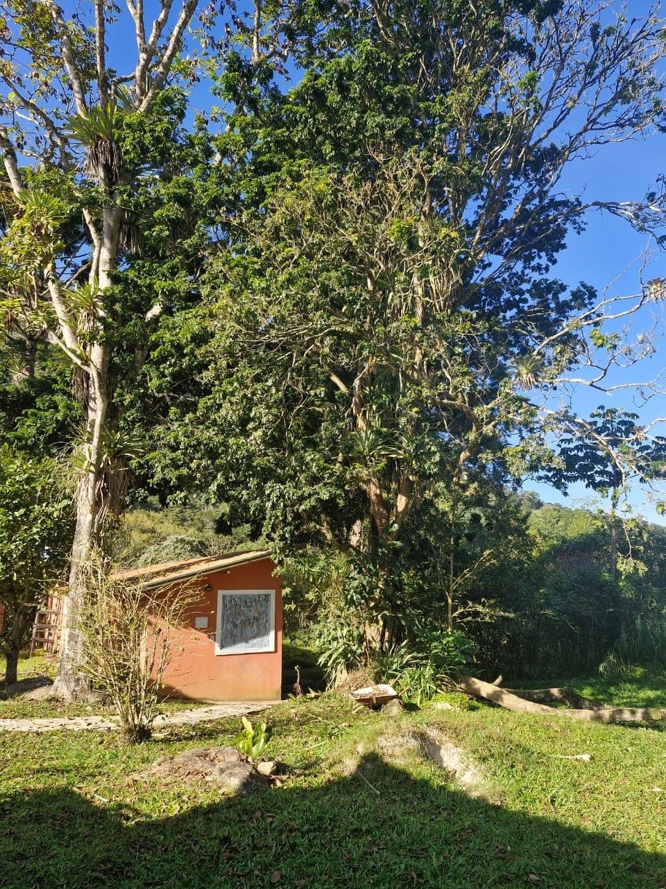 Chácara, 4 quartos, 5 hectares - Foto 16