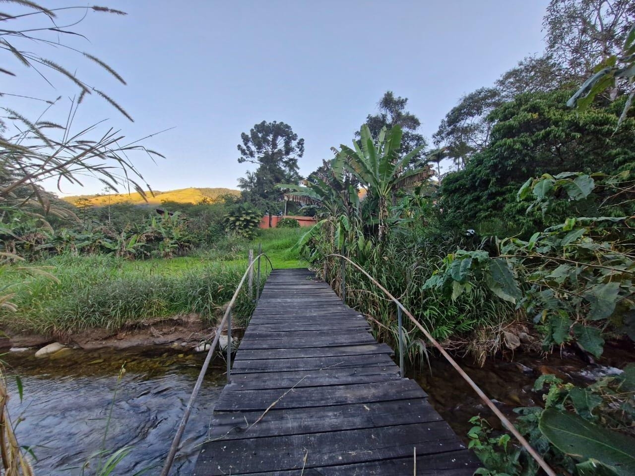 Chácara, 4 quartos, 5 hectares - Foto 31