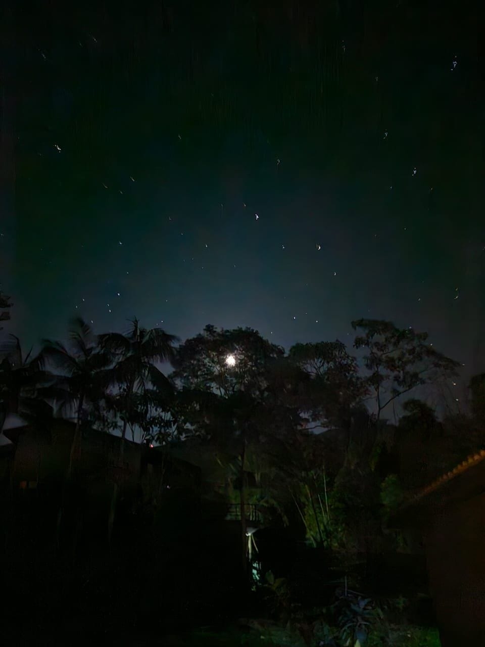 Chácara, 4 quartos, 5 hectares - Foto 35