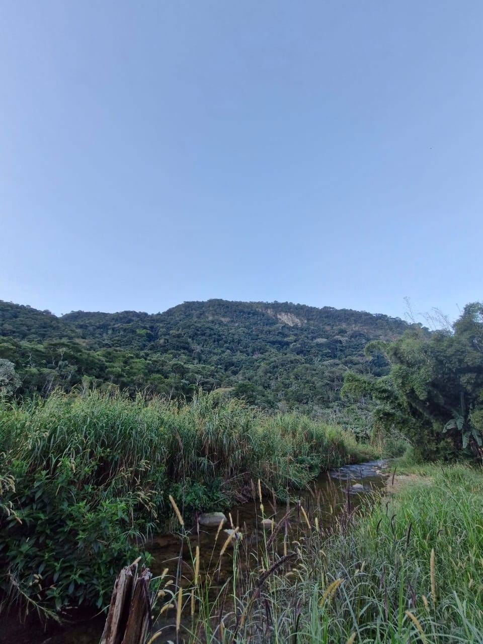 Chácara, 4 quartos, 5 hectares - Foto 58