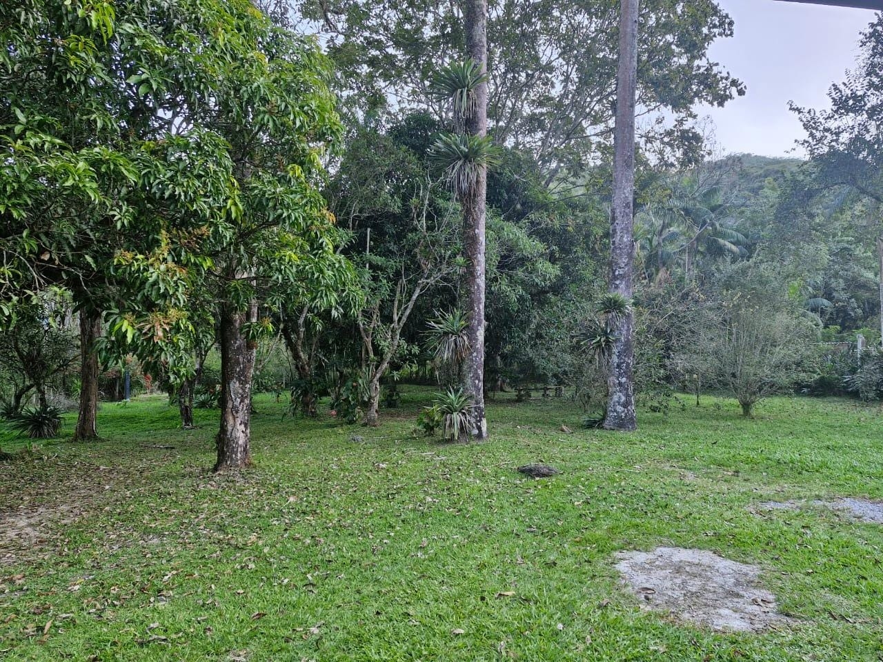 Chácara, 4 quartos, 5 hectares - Foto 62