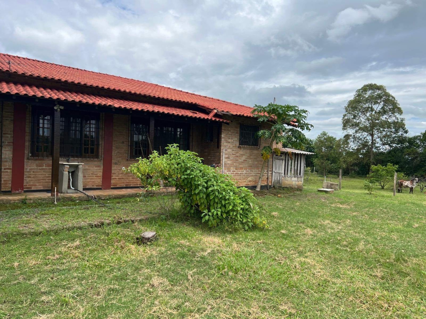 Chácara à venda com 4 quartos, 300m² - Foto 3