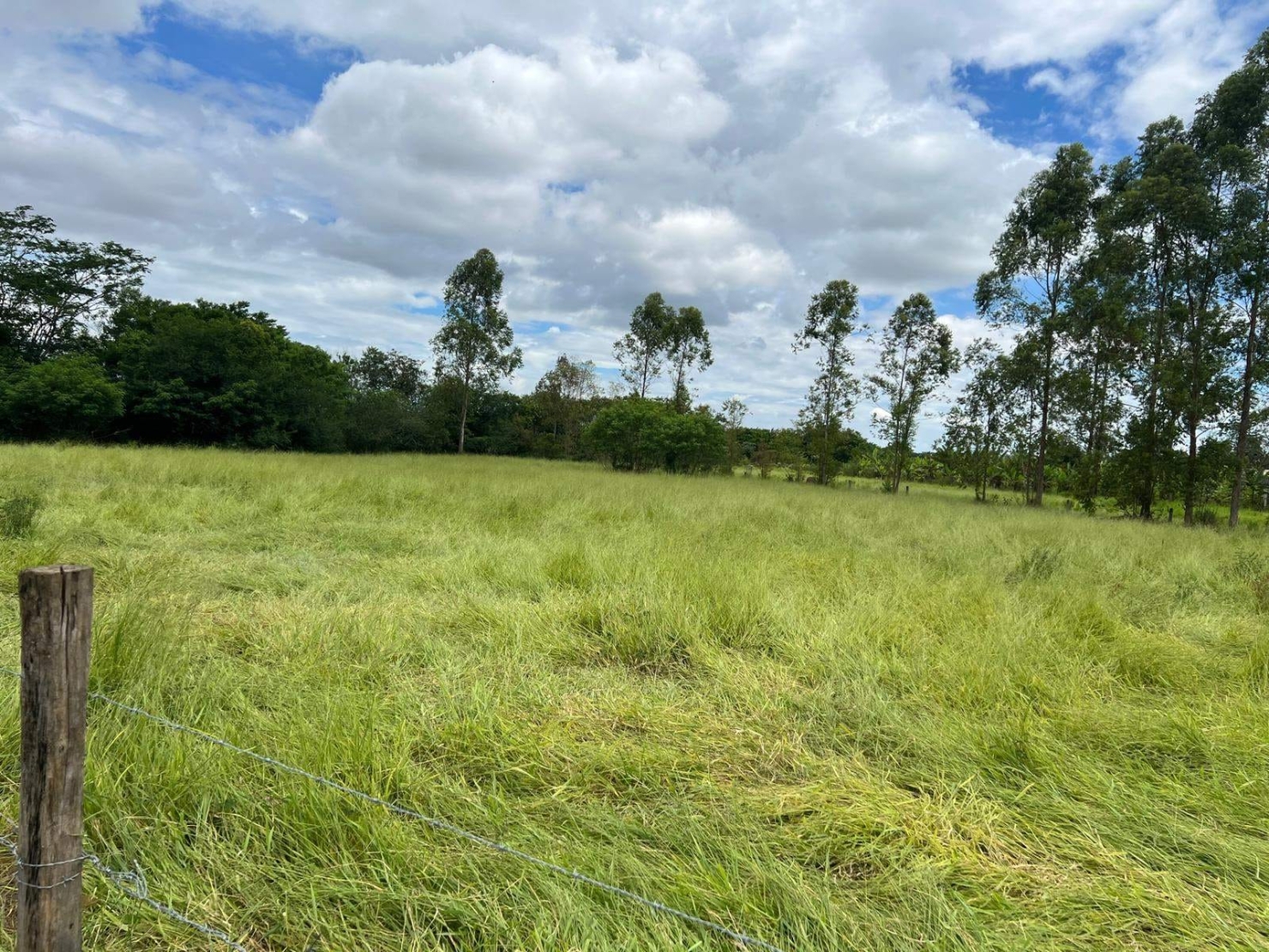 Chácara à venda com 4 quartos, 300m² - Foto 21