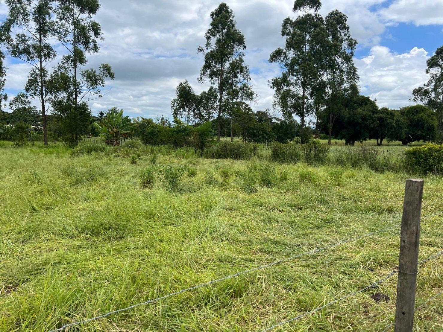 Chácara à venda com 4 quartos, 300m² - Foto 24