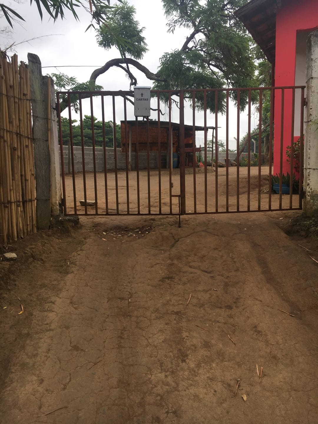 Terreno, 3 hectares - Foto 1