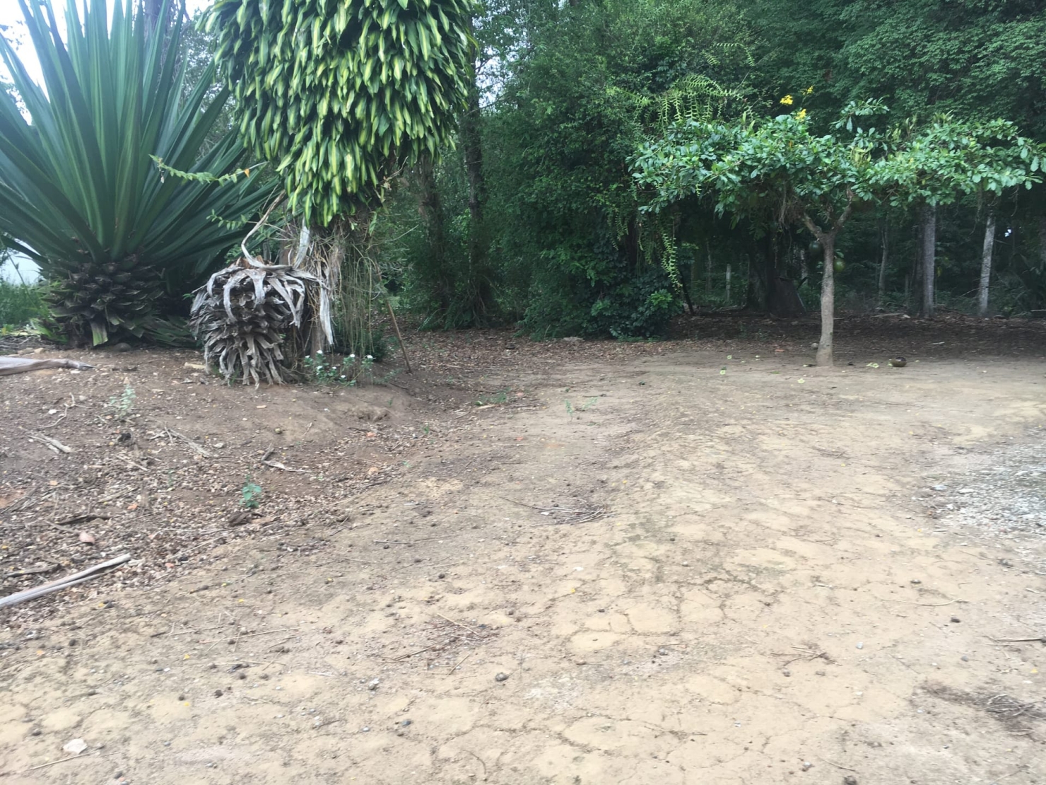 Terreno, 3 hectares - Foto 6