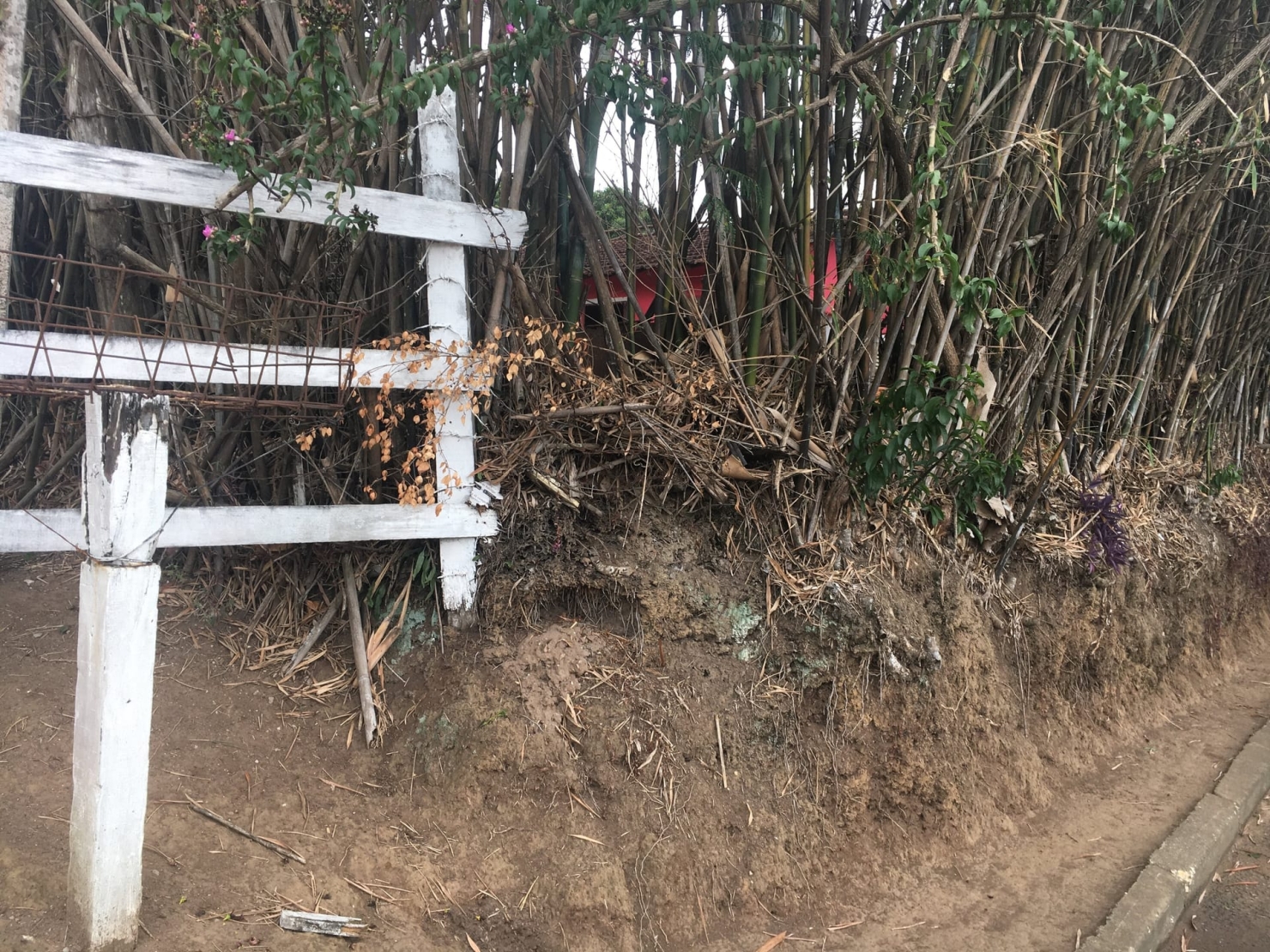 Terreno, 3 hectares - Foto 14