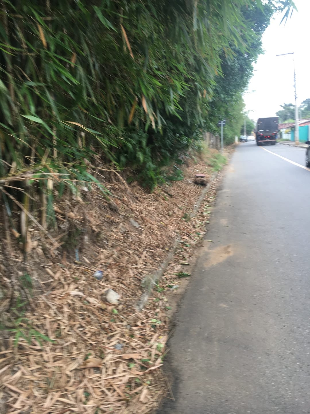 Terreno, 3 hectares - Foto 15