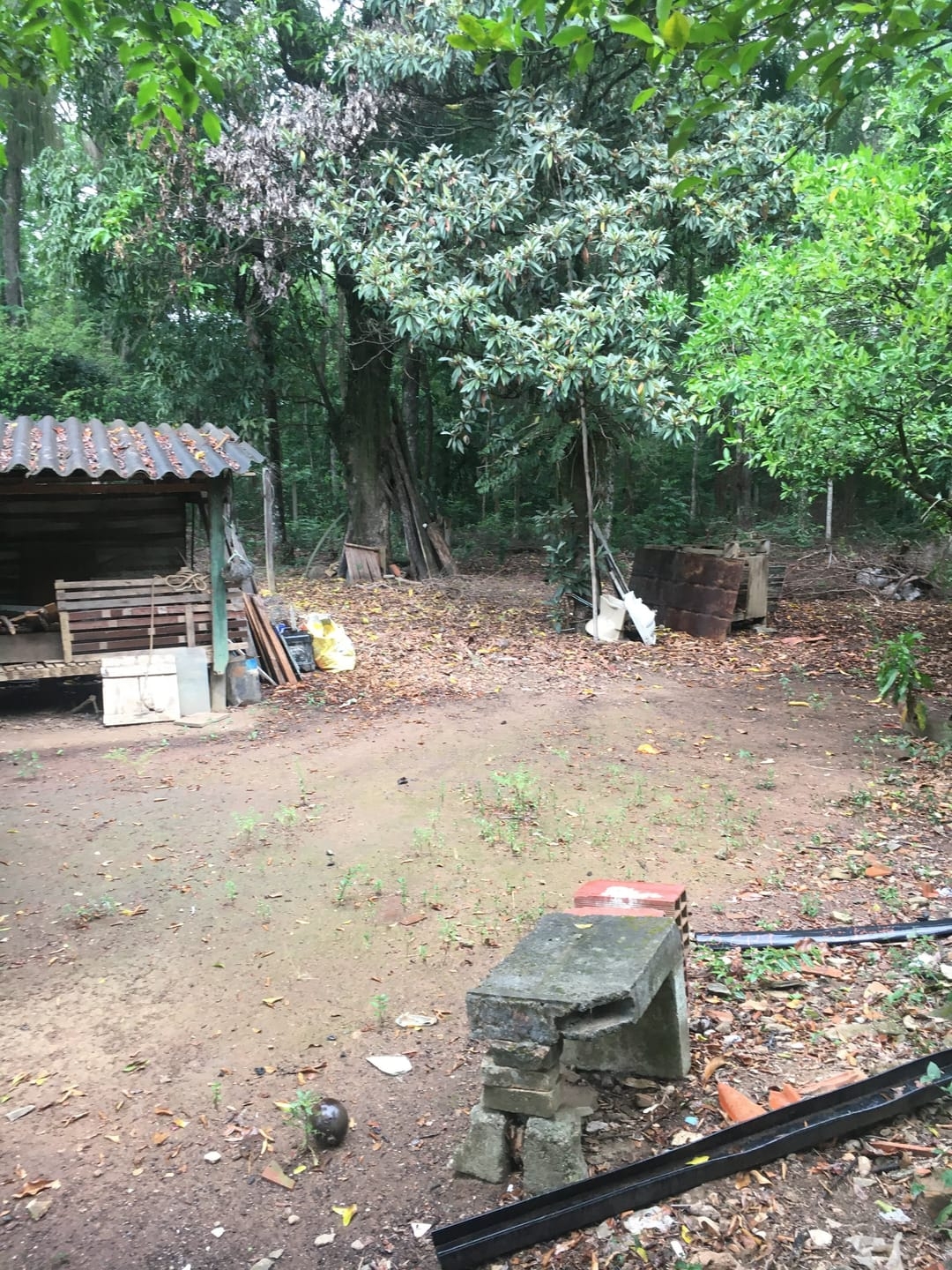 Terreno, 3 hectares - Foto 18