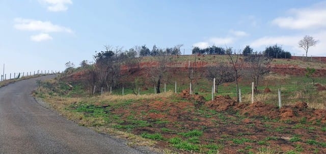 Terreno, 880 m² - Foto 6