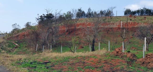 Terreno, 880 m² - Foto 7