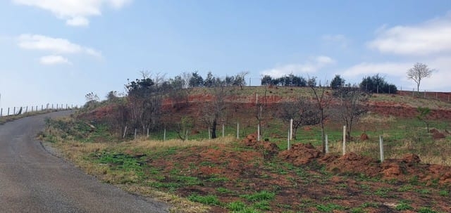 Terreno, 880 m² - Foto 8