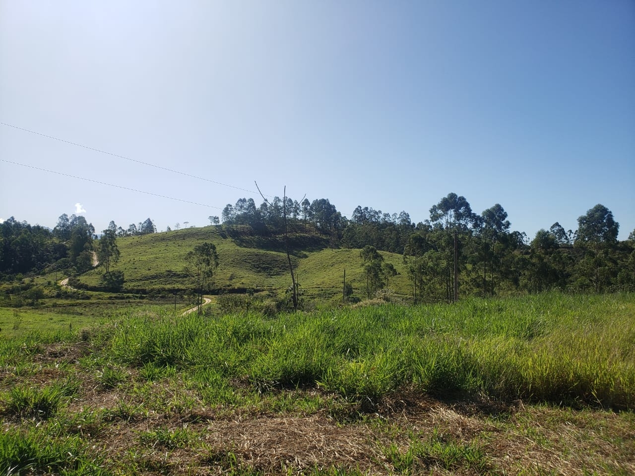 Terreno, 1065 m² - Foto 4