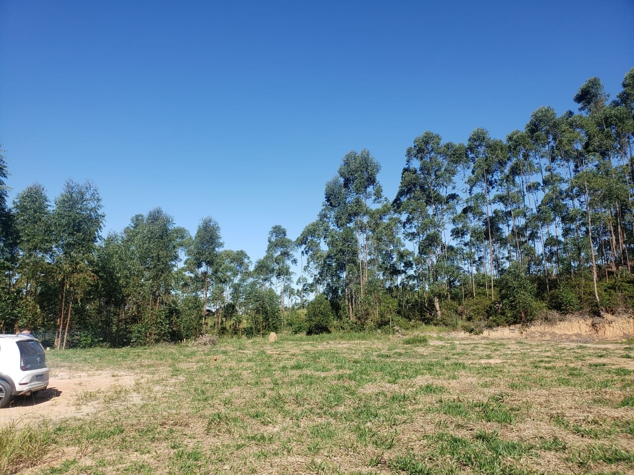 Terreno, 1065 m² - Foto 5