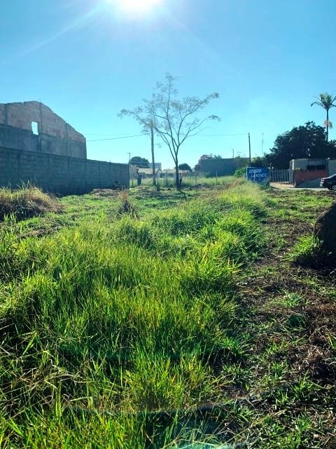 Terreno à venda, 300m² - Foto 3