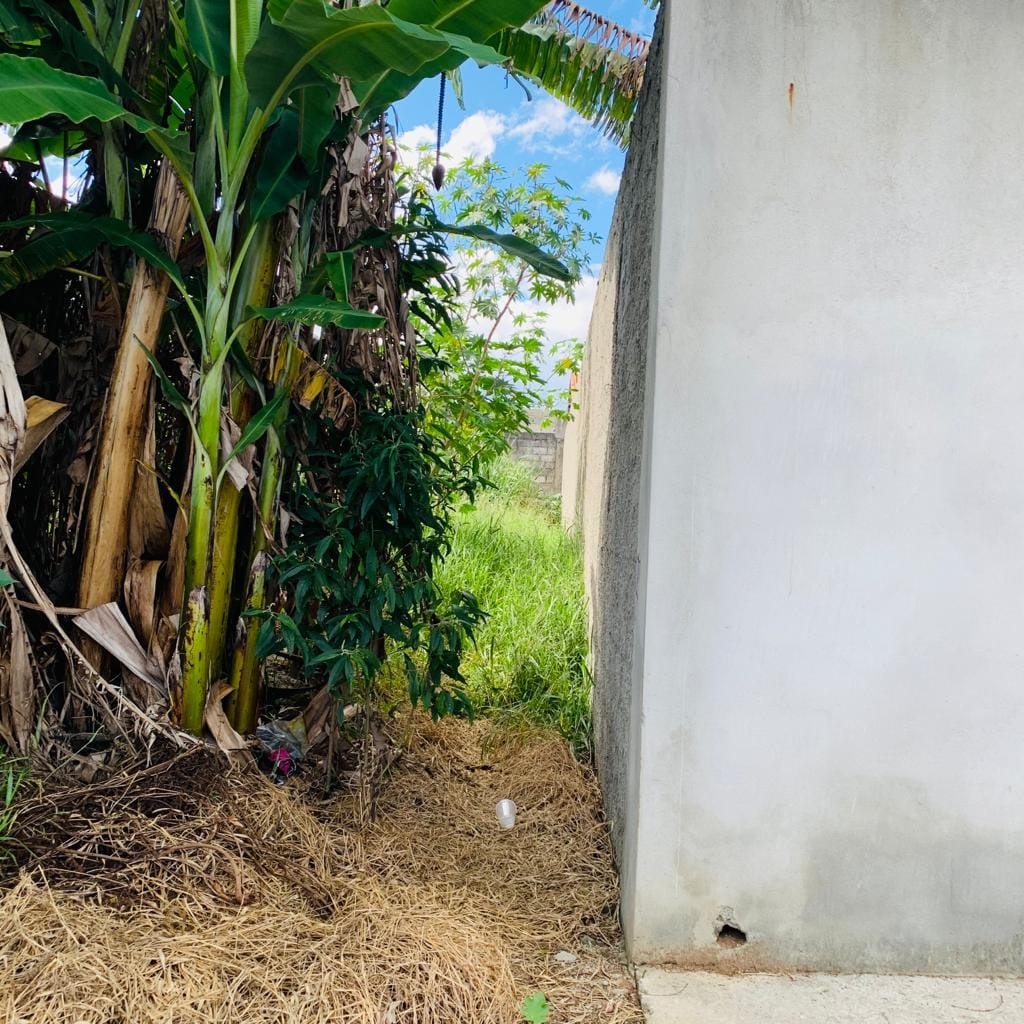 Terreno, 250 m² - Foto 5