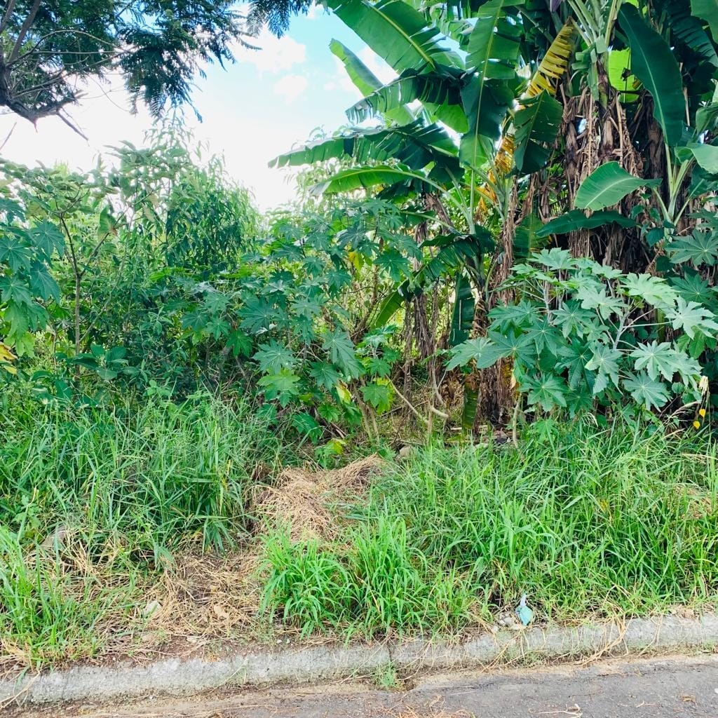 Terreno, 250 m² - Foto 6