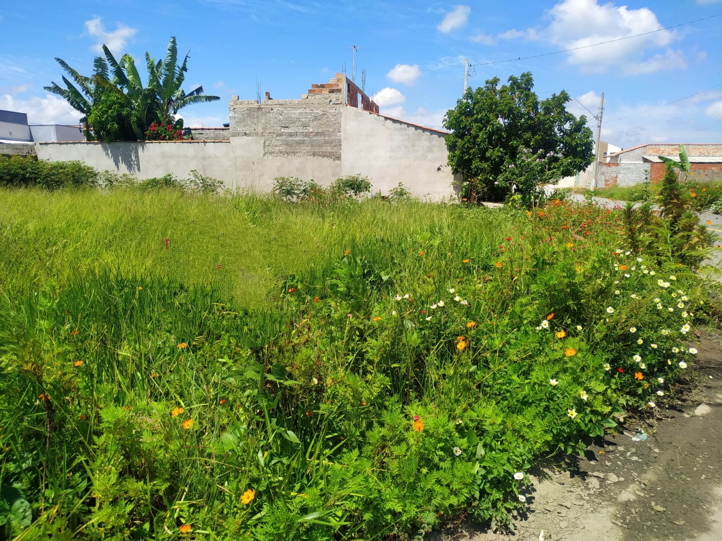 Terreno, 200 m² - Foto 1